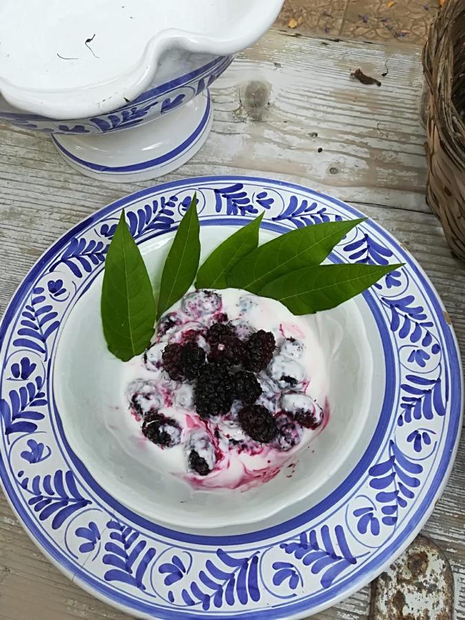 טרני B&B Nonna Laura מראה חיצוני תמונה